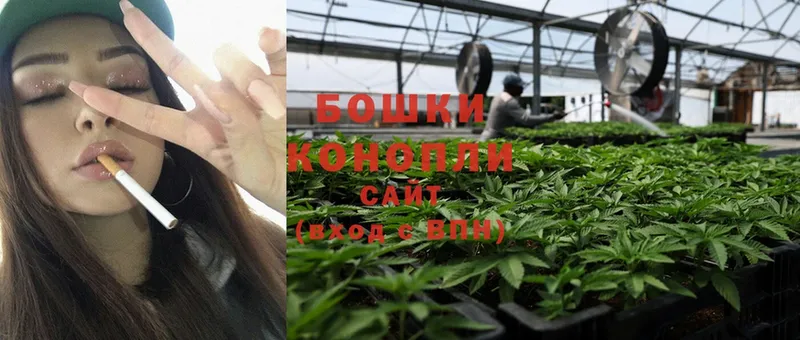 Конопля SATIVA & INDICA  мега ССЫЛКА  Егорьевск 